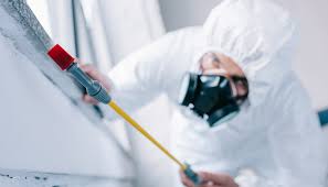 Best Termite Inspection and Treatment  in West Salem, WI